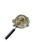 fleur GMO avec loupe