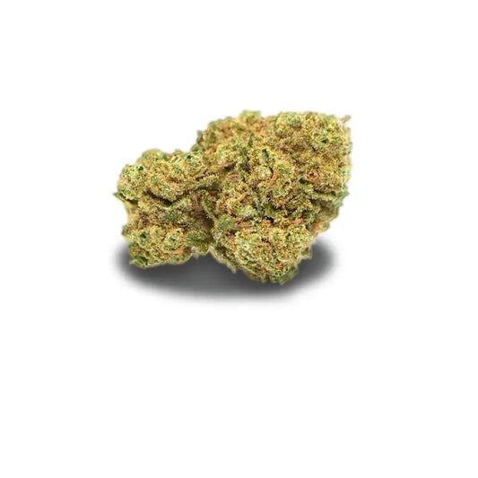 fleur d'amnesia