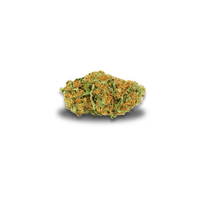 fleur Biscotti Mintz