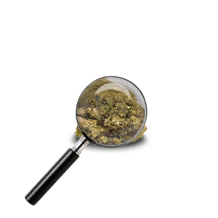 résine de kief bubba kush