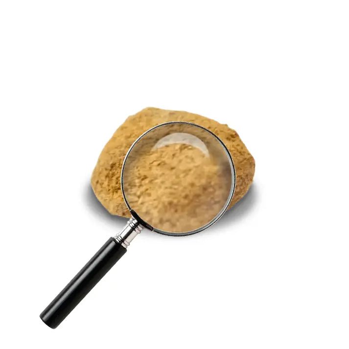 concentré mango rock avec loupe