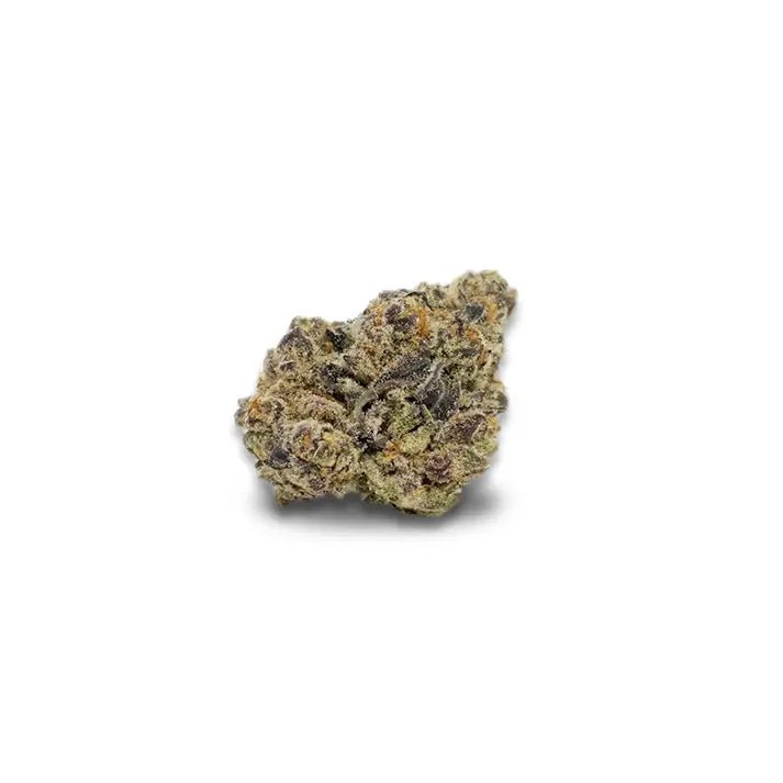 fleur mimosa evo