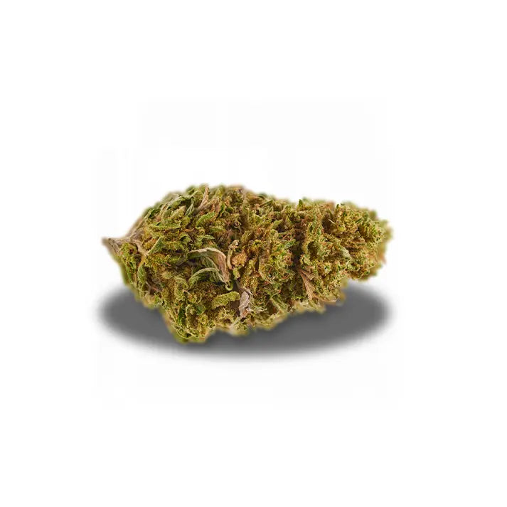 fleur de northern lights