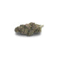 fleur Purple Punch