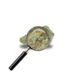 fleur Sugar Cookie avec loupe