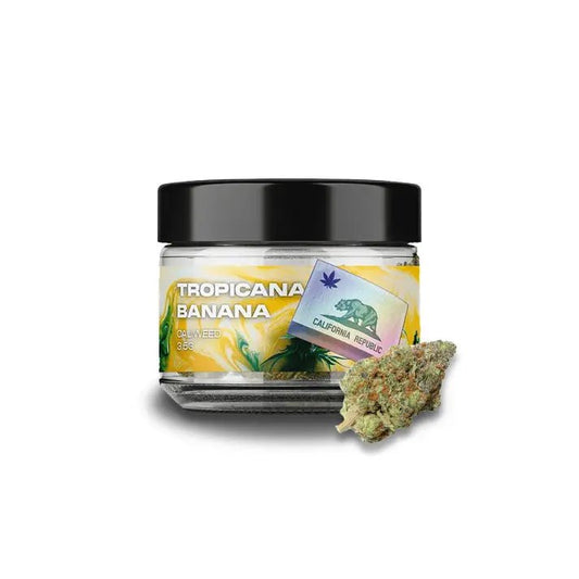 Caliweed Tropicanna Banana