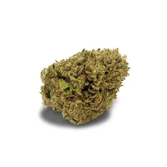 fleur de watermelon
